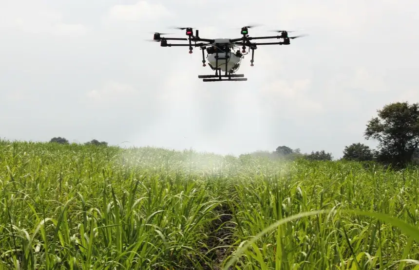 A agricultura e a nova geração: como atrair jovens para o campo?