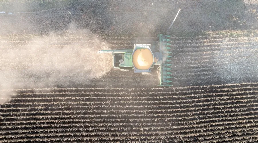 Aprenda como calcular a produtividade da soja por hectare Aprenda como calcular a produtividade da soja por hectare