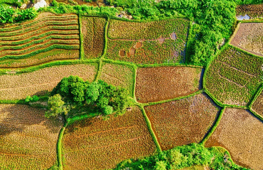 Como usar mapas de colheita para decisões futuras na agricultura de precisão?