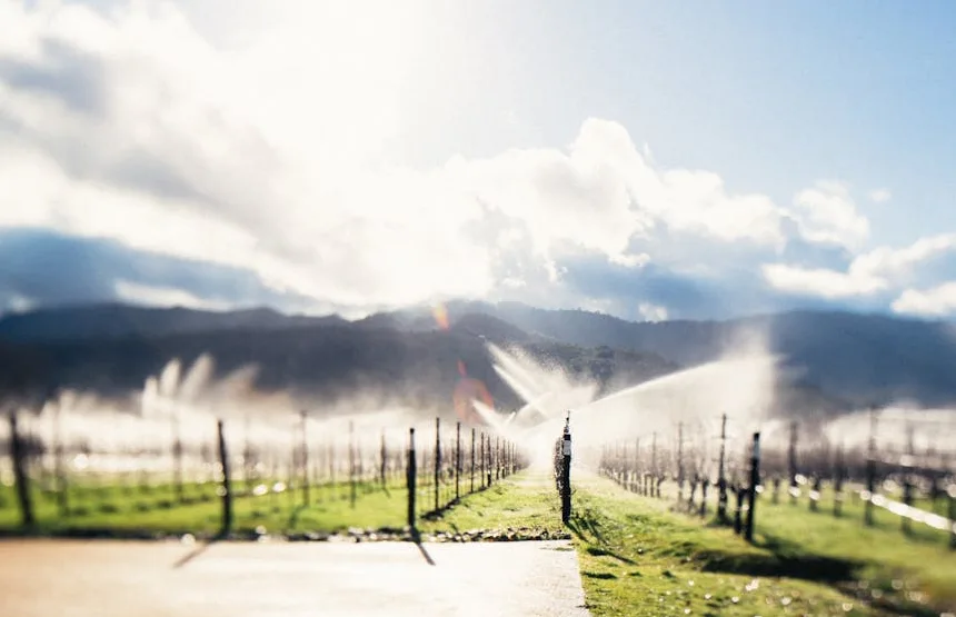 Considere o clima da região e as quantidades necessárias