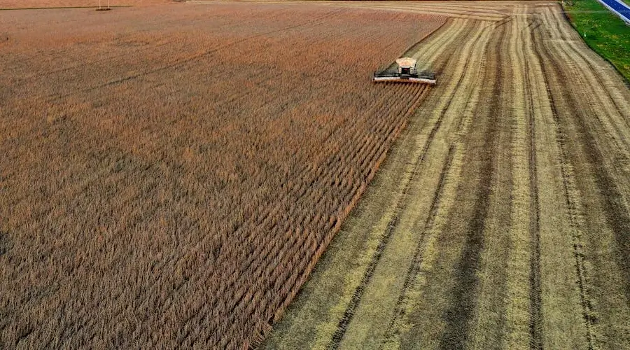 Estratégias para maximizar o potencial produtivo da soja em áreas de abertura