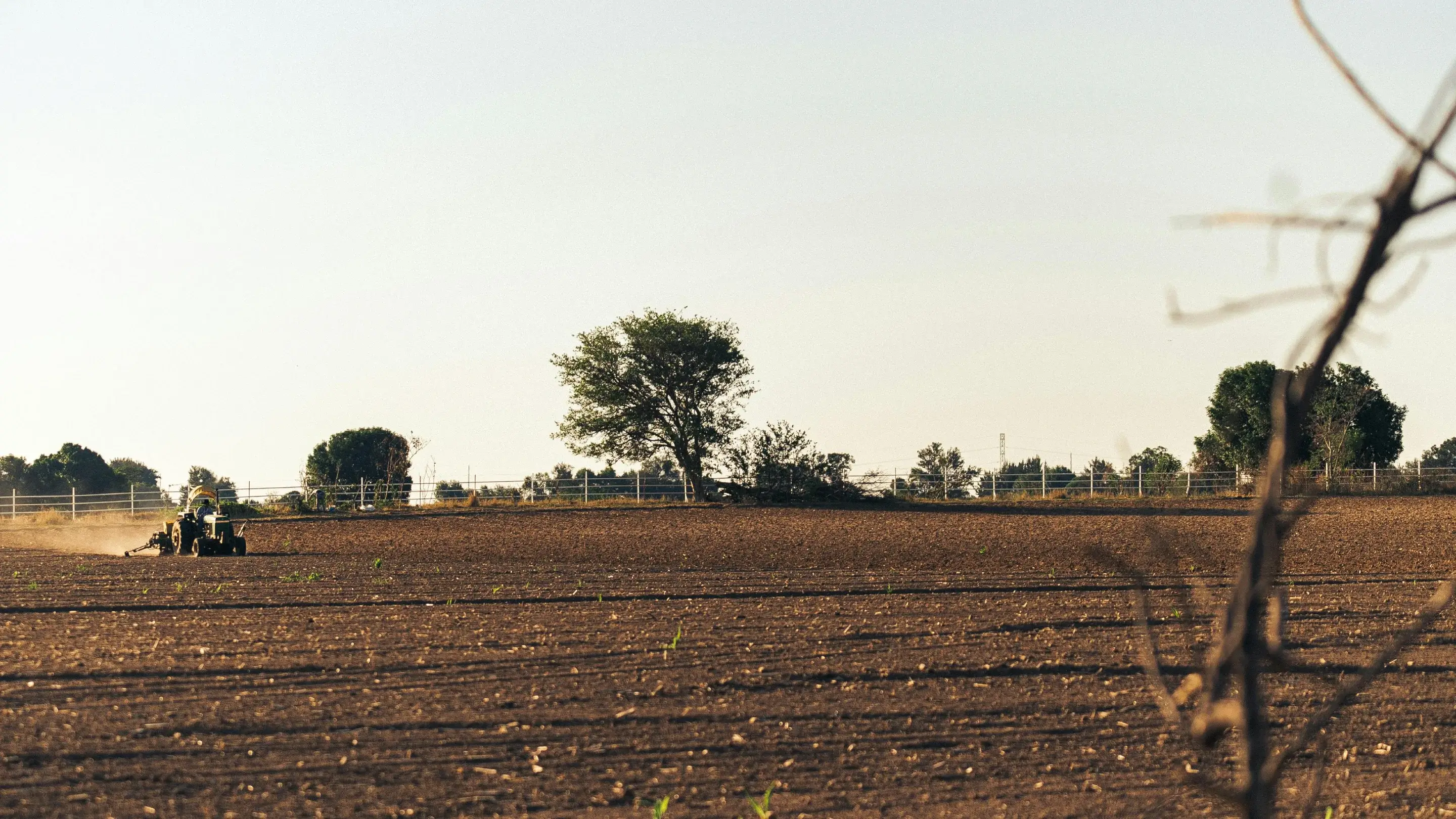 Manejo de resistência: como evitar a perda de eficiência de fungicidas nas próximas safras? Manejo de resistência: como evitar a perda de eficiência de fungicidas nas próximas safras?
