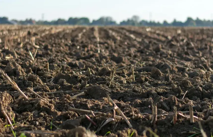 Mudanças climáticas: como o clima influencia a agricultura?