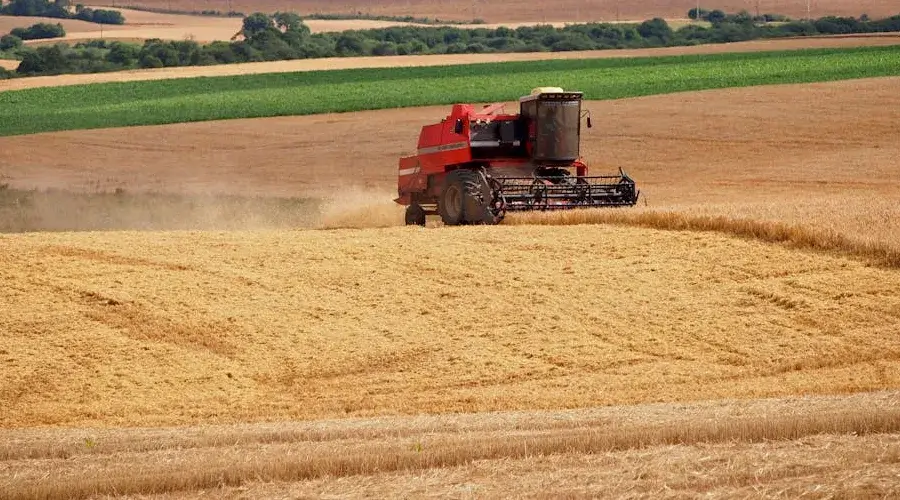 Mudanças climáticas: como o clima influencia a agricultura? Mudanças climáticas: como o clima influencia a agricultura?