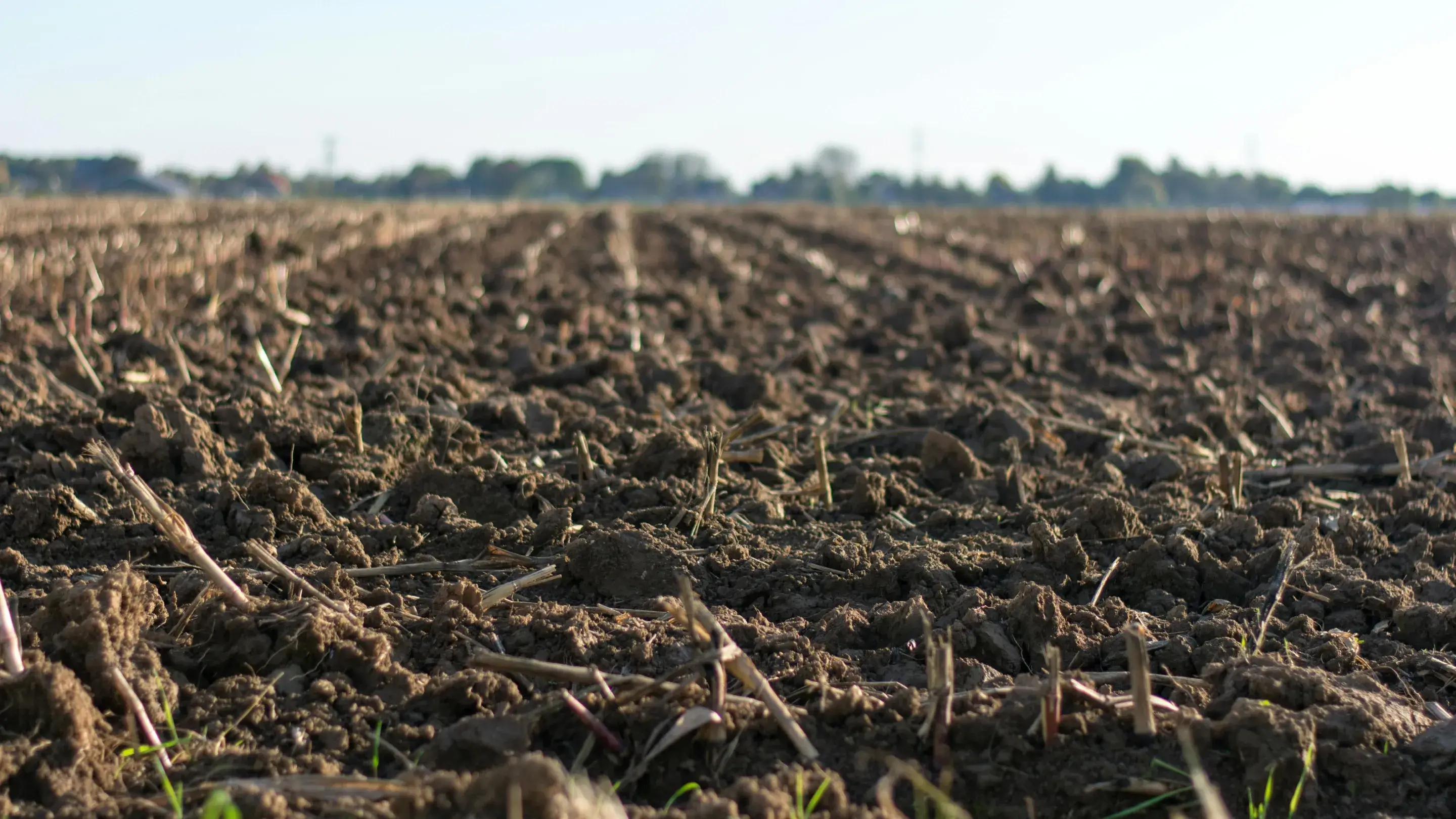 Mudanças climáticas: como o clima influencia a agricultura?