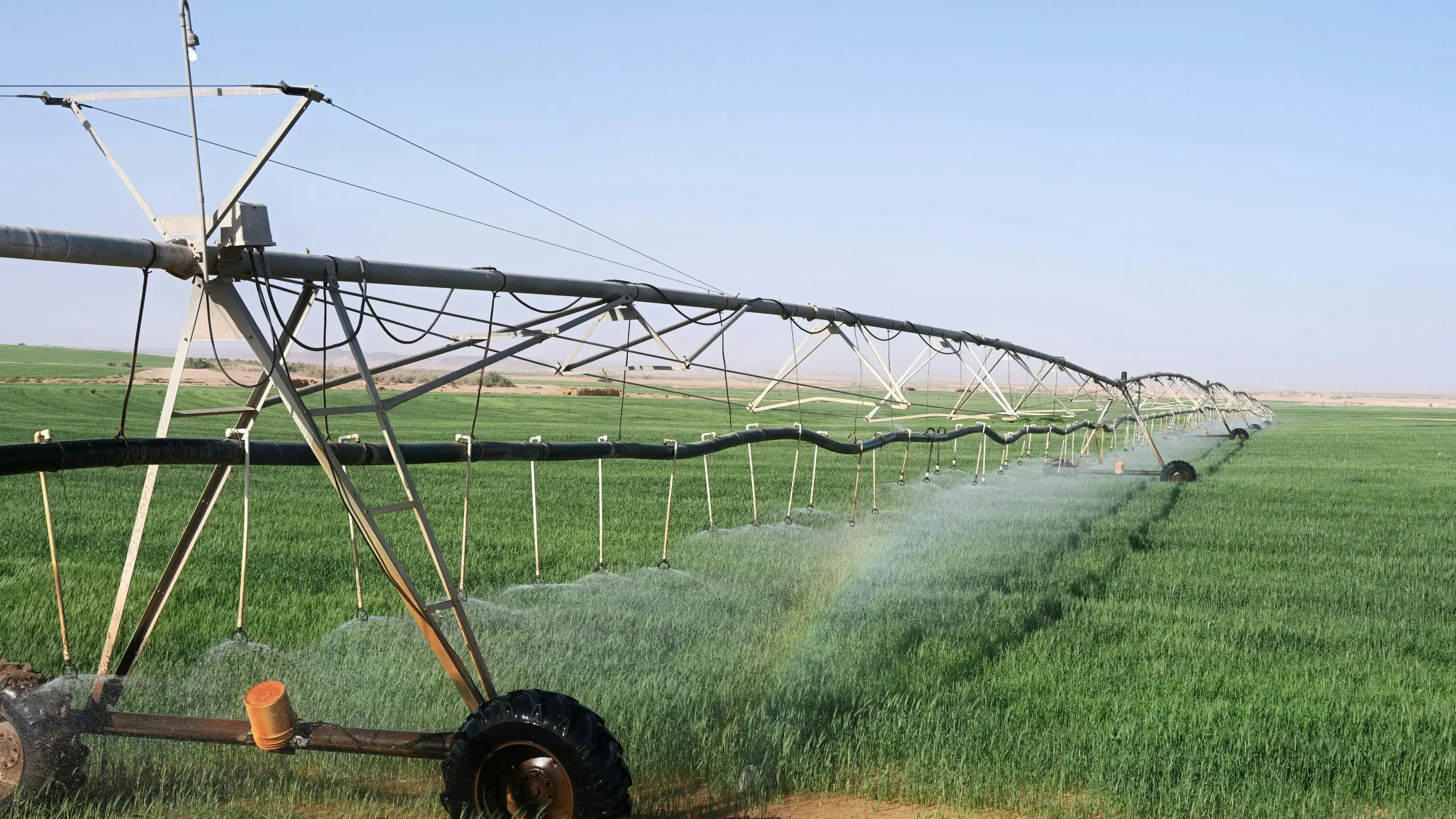Quais são os custos invisíveis da agricultura? Decisões intuitivas provocam prejuízos