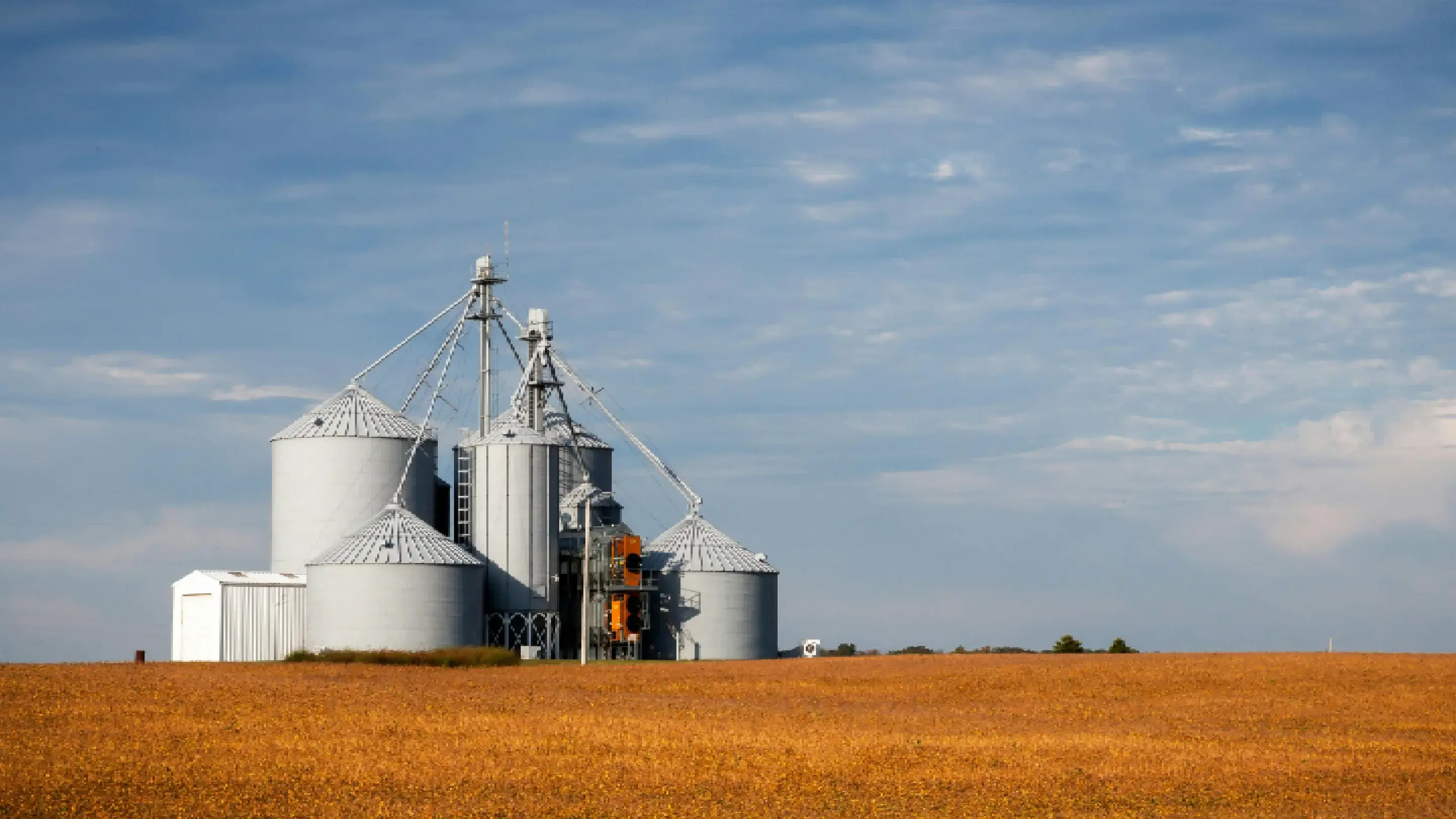 Quais são os tipos de silos para armazenamento de grãos de soja? Como escolher?