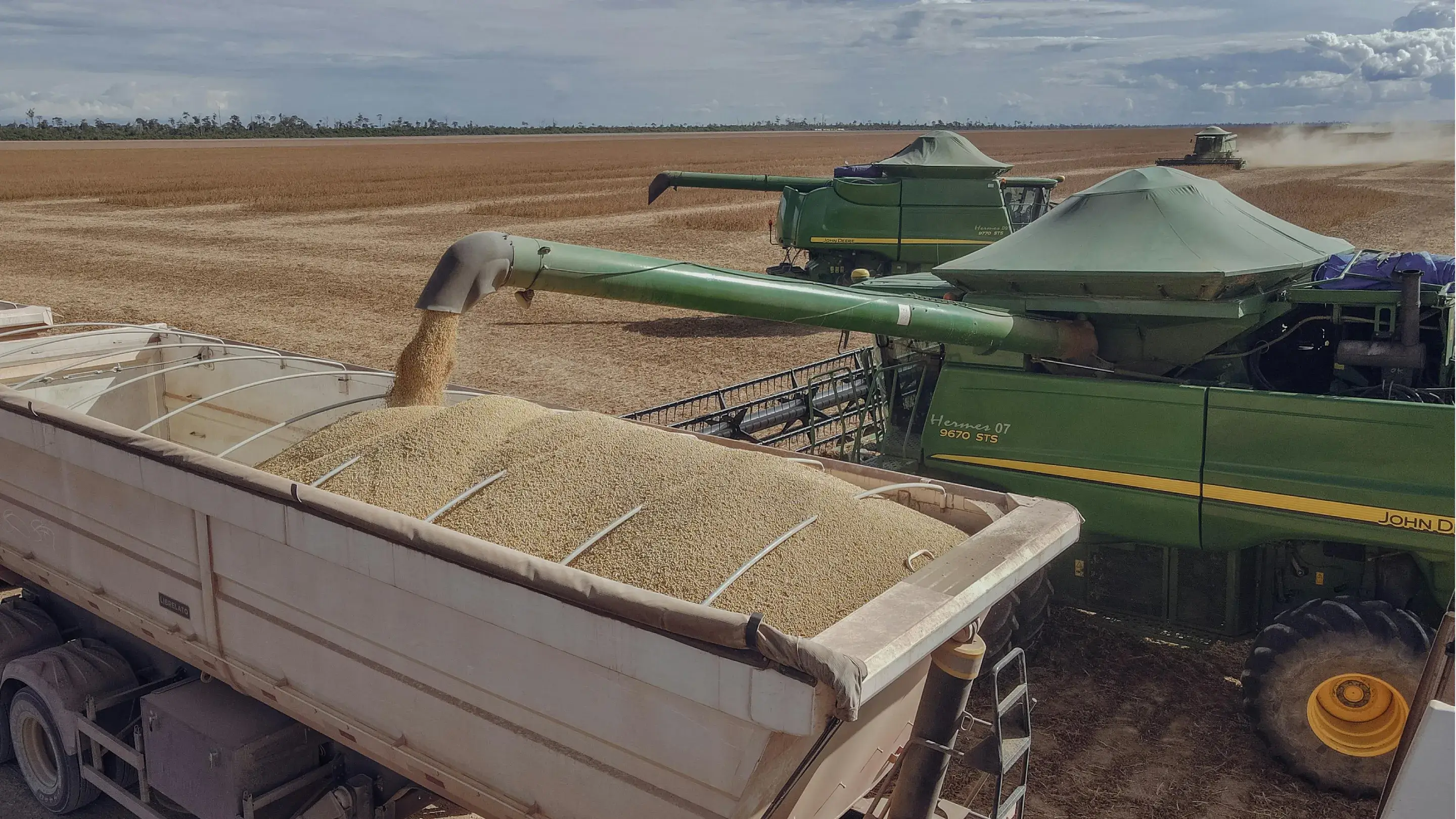 Uso de bactérias e fungos para aumentar a produtividade da soja